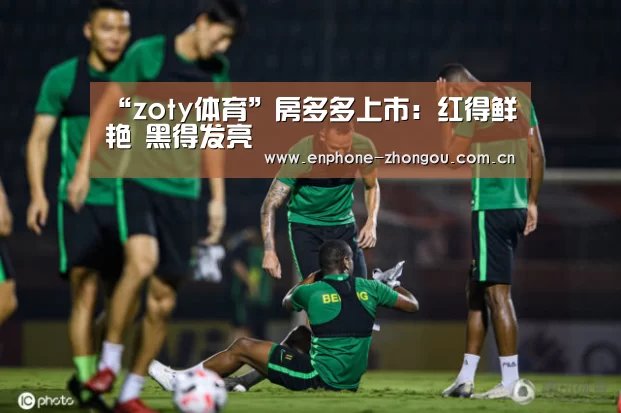 “zoty体育”房多多上市:红得鲜艳 黑得发亮(图1) zoty体育