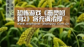 恐怖游戏《恶灵附身2》将充满浓厚日式恐怖元素“中欧体育官网”(图2) 中欧体育官网