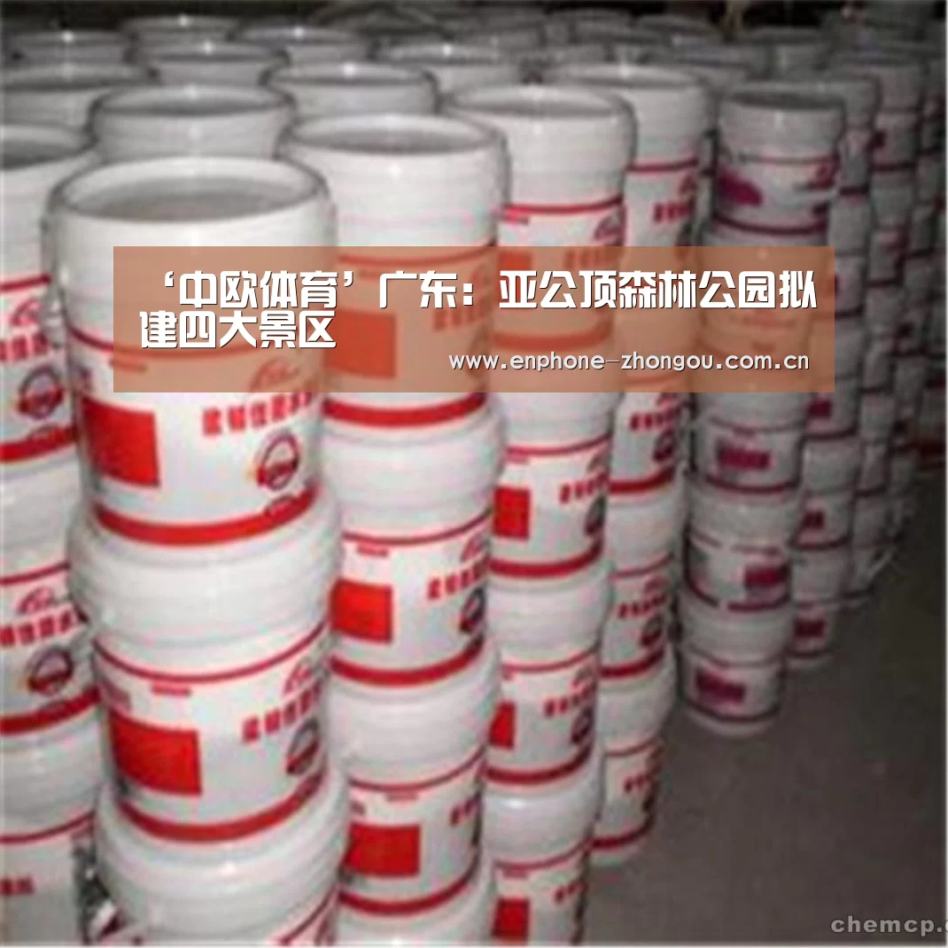 ‘中欧体育’广东:亚公顶森林公园拟建四大景区(图1) 中欧体育