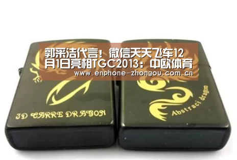 郭采洁代言!微信天天飞车12月1日亮相TGC2013:中欧体育官网(图2) 中欧体育官网