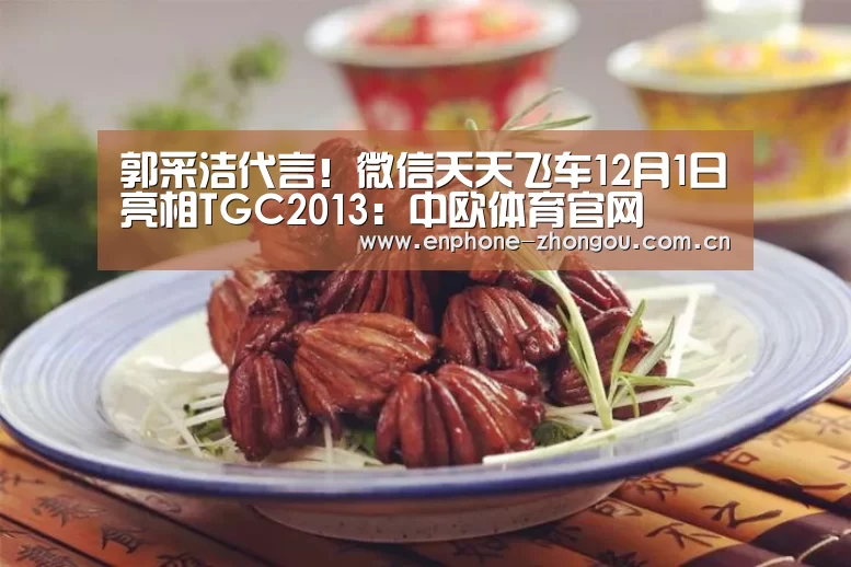 郭采洁代言!微信天天飞车12月1日亮相TGC2013:中欧体育官网(图1) 中欧体育