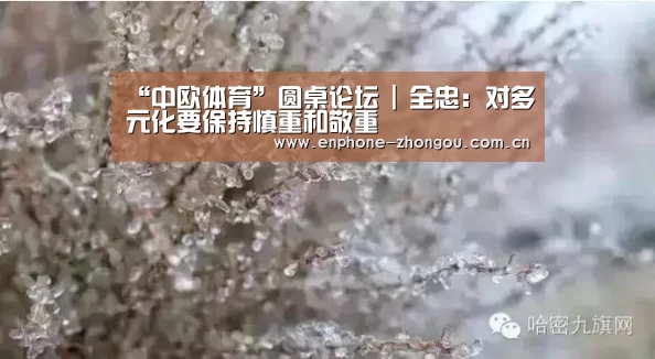 中欧体育