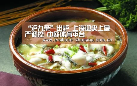 “沪九条”出炉 上海迎史上最严调控_中欧体育平台(图3) zoty体育