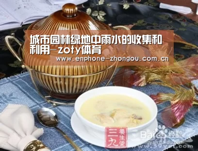 城市园林绿地中雨水的收集和利用-zoty体育(图3) 中欧体育官网