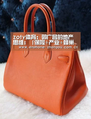 zoty体育:郭广昌的地产思维:「保险+产业+蜂巢 1+1+1」的产业跨界融合(图4) zoty体育