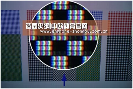 造园史纲|中欧体育官网(图1) 中欧体育平台